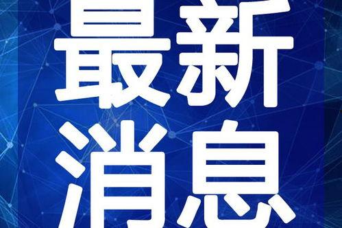 小猪崽子爆料视频大全最新,揭秘娱乐圈幕后真相 第2张 小猪崽子爆料视频大全最新,揭秘娱乐圈幕后真相 第2张