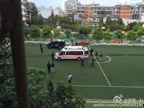 昆明小学爆料最新消息今天,揭秘校园内幕，真相令人震惊！  第3张